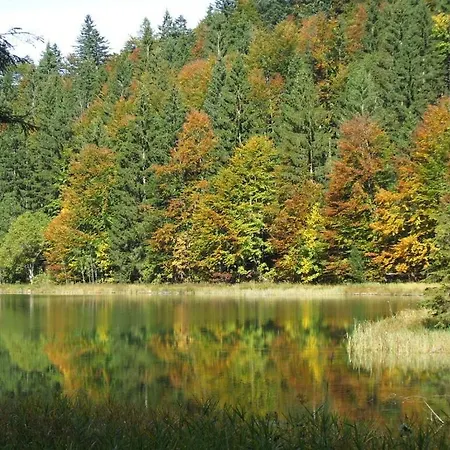 No 2 Falkensee 