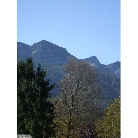 No 2 Falkensee 